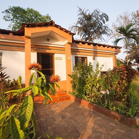 Villa Sunflower Кавелоссим Экстерьер фото
