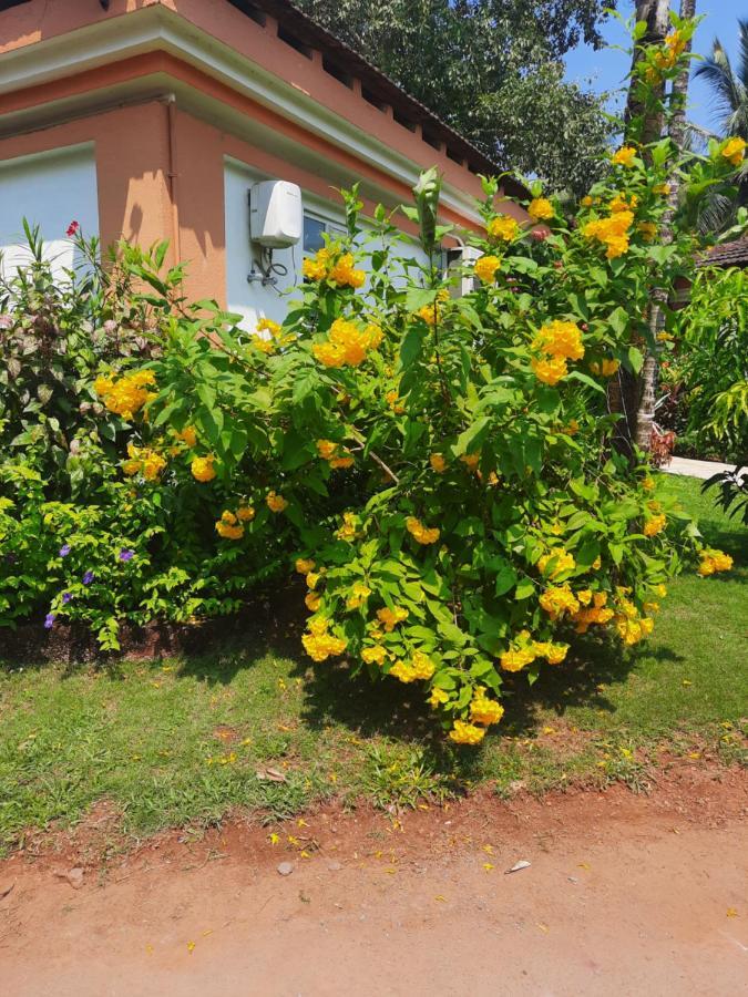 Villa Sunflower Кавелоссим Экстерьер фото